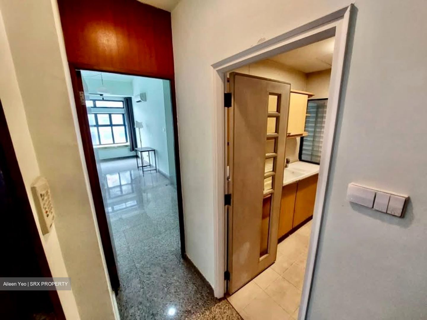 Nineteen Shelford Road (D11), Condominium #566266431